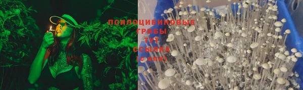 mdpv Белокуриха