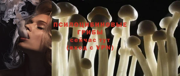 mdpv Белокуриха