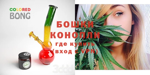 mdpv Белокуриха